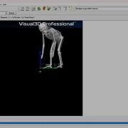 Xsens Tutorial Importing MVNX Files Into Visual 3D
