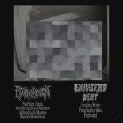 Bowel Erosion Emulsified Meat Split CS Full EP