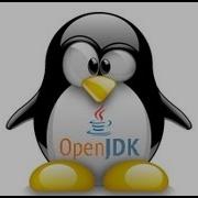 Ubuntu 12 04 Java Applet Not Working With Open Jdk Solved