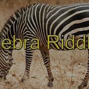 Zebra Riddle Einstein Puzzle C Tutorial