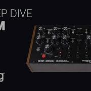 The Moog DFAM Synthesizer Complete Deep Dive Guide Tutorial