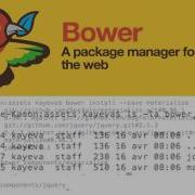 Use Bower For Your CSS Libraries Installation