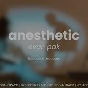 Evan Pak Anesthetic Tradução Legendado