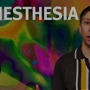 What Is It Like To Have Synesthesia