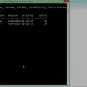 Oracle SQL Delete Statement
