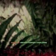 BFBC2 Footage Quality Test