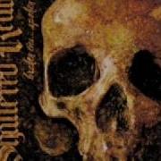 Shattered Realm All Will Suffer