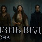 История для сна Ведьмы история от костра до экрана