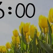 3 Minute Spring Countdown Timer With Music