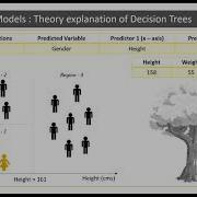 Introduction To Random Forest Models Understanding Decision Trees Part 1