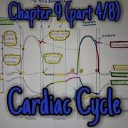 Cardiac Cycle Ventricular Pressure And Volume Changes Chapter 9 Part 4 Guyton And Hall Physiology