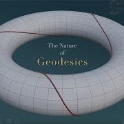 The Nature Of Geodesics