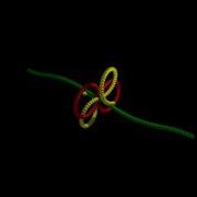 Blender Array Test
