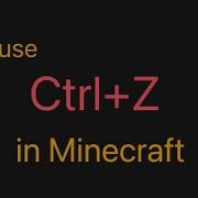 I Made Ctrl Z In Minecraft