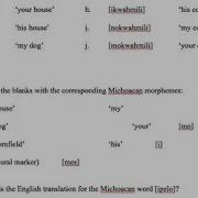 Морфология часть 3