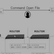 NETWORK OVERVIEW Protocol Analysis