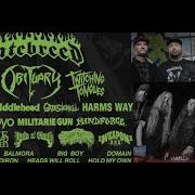 2024 LDBBB Fest W Hatebreed Sunami Twitching Tongues Obituary And Many More
