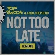 Tom Swoon Amba Shepherd Not Too Late Bassnectar PatrickReza Remix Cover Art