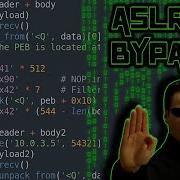 How To Bypass ASLR Exploit Development 8 Ekoparty 2019 Challenge