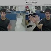 Flask Socket Vs Webrtc