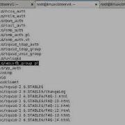Redhat Enterprise Linux 5 Squid Proxy Part1