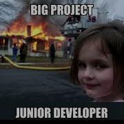 Junior Developer Memes Memes Programming Shorts
