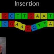 Mutations