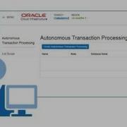 Provision Autonomous Transaction Processing