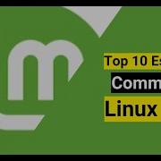 10 самых важных команд Linux Mint для новичков