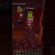 Minecraft DREAM Vs TECHNOBLADE Shorts