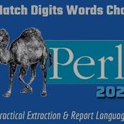 Perl Programming Regex Lookaheads Pattern Matching 2024