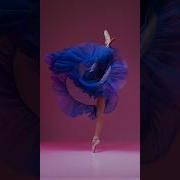 Model Poses For Photoshoot Ballet Model Yaroslava