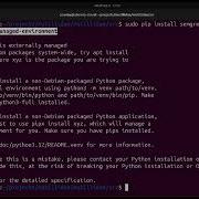 Устранение ошибки Внешняя управляемая среда при установке пакетов Python Краткое руководство