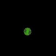 Can You Really Draw This Amazing Python Turtle Watch It Python Shortsfeed Turtle Viral Shorts