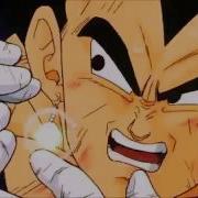 Vegito Vs Majin Buu Amv