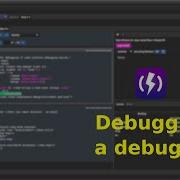 Debugging A Debugger