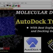 AutoDock Autodock Tutorial Molecular Docking Autodock Download Best Easy Way