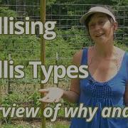 Trellising Overview And What Garden Plants To Trellis Why How Excerpt Online Gardening School