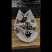 Morphing Robot