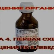 ТЕМА 4 ОЧИЩЕНИЕ ОРГАНИЗМА ПО Е ЛЕБЕДЕВУ СХЕМА 1