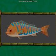 Madagascar DVD Menu Walkthrough Part 2