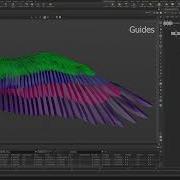 Feather Houdini Study