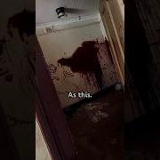 I Ve Never Seen Anything Like This Urbex Abandoned Scary Abandonedbuilding Shorts