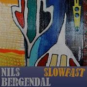 Slowfast