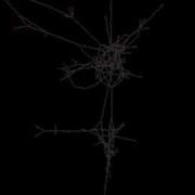 Exploded Network Visualization Technique