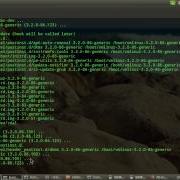 Selenium Ide Export Python Code And Run Robot