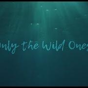 Dispatch Only The Wild Ones Official Music Video