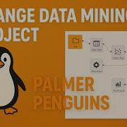 Orange Data Mining Project On Palmer Penguins AI Project No Code Tool Orange Data Mining