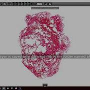 3DHISTECH Pannoramic Scanner Software 2 0 5 Tutorial Z Stack Flash Scanning Mode