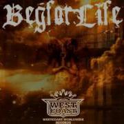 Beg For Life Destroy
